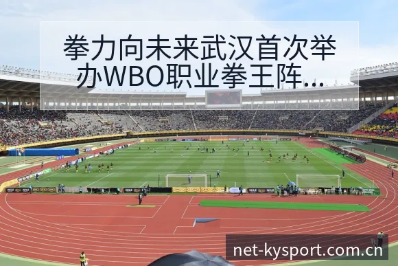 拳力向未来武汉首次举办WBO职业拳王阵容调整影响分析与风 - 开云