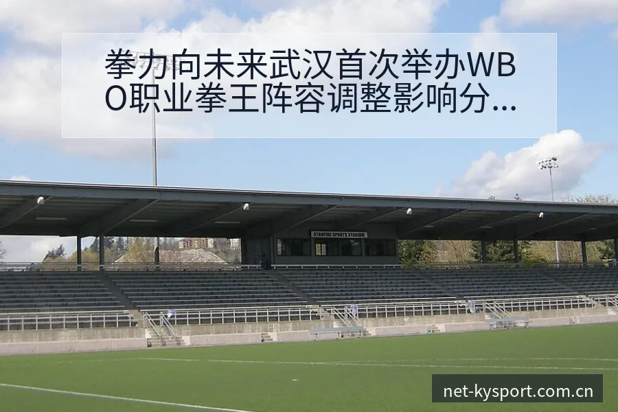 拳力向未来武汉首次举办WBO职业拳王阵容调整影响分析与风 - 开云